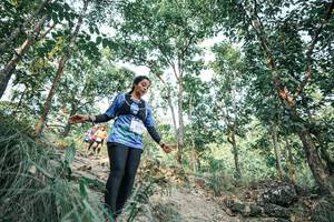 BIB: 
                            <button type="button" onclick="openModal(25978822)" class="btn btn-primary btn-sm float-right btn-popup" data-toggle="modal" data-target=".modal-high-quality">
                        <i class="fas fa-shopping-cart"></i> Add to Cart
                    </button>
                                            <button type="button" onclick="isThisMe(25978822, true)" class="btn btn-success btn-sm float-right btn-popup btn-isme hidden" data-toggle="tooltip" data-placement="bottom" title="นี่คือรูปของคุณใช่ไหม คลิกที่นี่เพื่อเอาเข้าอัลบั้ม">
                        <i class="fas fa-plus"></i> Add to album
                    </button>
                    <button type="button" onclick="isThisMe(25978822, false)" class="btn btn-warning btn-sm float-right btn-popup btn-isnotme hidden">
                        <i class="fas fa-ban"></i> Remove from album
                    </button>